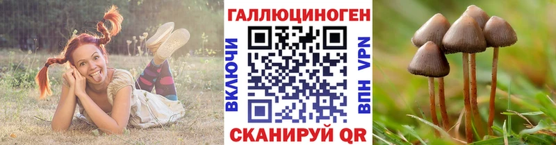 Галлюциногенные грибы прущие грибы  где купить наркоту  Вологда 