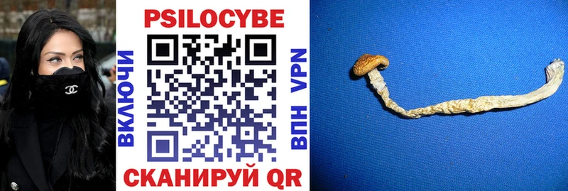 Псилоцибиновые грибы GOLDEN TEACHER Вологда